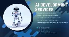 AI development services by primafelicitas, San Francisco