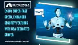 Enjoy Super-Fast Speed  with USA Dedicated Server, Jaipur