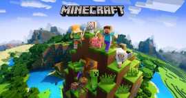 Minecraft v1.12 and 1.14, $ 50