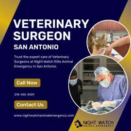Veterinary Surgeon in San Antonio - Night Watch, San Antonio