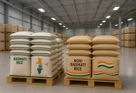 Non Basmati Rice Exporter, Delhi