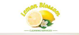 Lemon Blossom Cleaning Services, McKinney