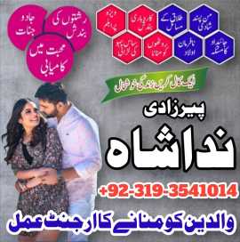 Uk Special Amil Baba In USA UAE Kala Ilam Contact, Badger