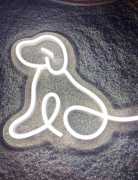 Vibrants and Energy-Efficient Neon LED Lights , $ 20