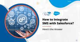 Best SMS Magic Salesforce USA Integration by 360 S, Los Angeles