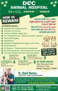 Best Vet Hospital  in Rewari - DCC Animal Hospital, Rewari