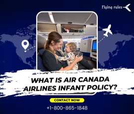 What Is Air Canada Airlines Infant Policy?, Worcester