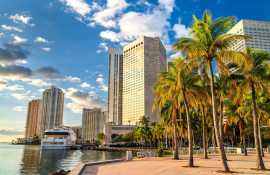 Tours to Do in Miami – Shorexc, Miami