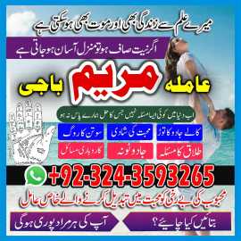 GET your love back amil baba black magic specialis, Abbotsham