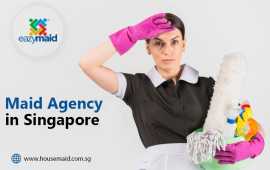 Professional Maid Agency in Singapore Safe Service, Bukit Timah