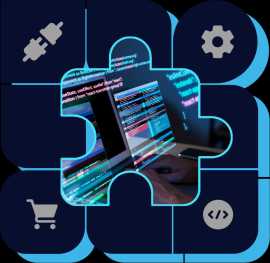 Benutzerdefinierte Shopware 6-Plugin-Entwicklung , Bremen