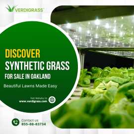 Discover Synthetic Grass for Sale in Oakland , Sunnyvale