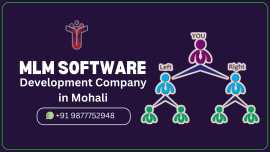 mlm software development company in mohali, Chandigarh