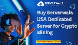 Buy Serverwala USA Dedicated Server, Crypto Mining, Jaipur