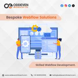 Responsive Webflow Websites for Modern Brands, Gandhinagar