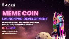 Memecoin launchpad development Company - Hivelance, Cat Ba