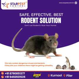 Best Cockroach Killer Treatment in Kurnool || Star, Kurnool