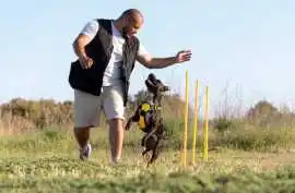 Dog Trainer, Srinagar