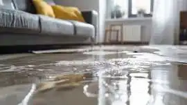 Greenville Emergency Fire, Mold & Water Damage..., Piedmont