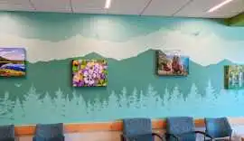 Premium Wall Murals in Arvada, Denver