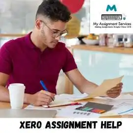 Professional Xero Assignment Help for Accounting, Liverpool