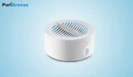PuriBreeze: Erleben Sie die Kraft fortschrittliche, New York