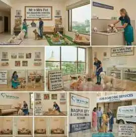Dog Boarding Services, Nagpur