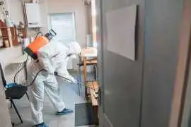 Pest Control Surrey BC Services Tailored to Your N, Surrey