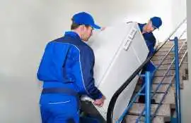 Professional Fridge Removalist Services, Sydney