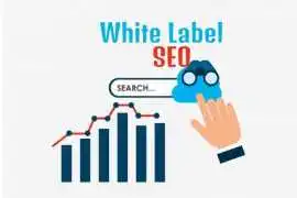 Scalable White Label SEO Agency for Agencies, Noida