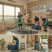 Pet Grooming Service at Home, Nagpur