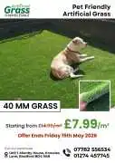 pet-friendly artificial grass at unbeatable prices, $ 8