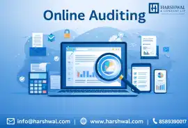 Online Auditing Services for Reliable Virtual, San Diego