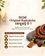 Original Rudraksha Shop in Kolkata, Bhubaneswar