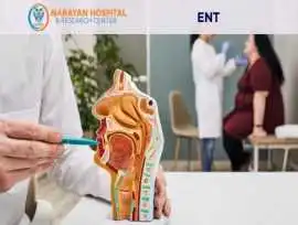 Trusted Medical Support for ENT Problems, Patna