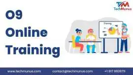 Master o9 Solutions Training: Online Course & Cert, Chicago