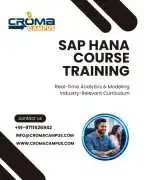 Professional SAP Training Course in Mumbai, Noida