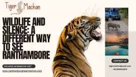 Wildlife and Silence: A Different Way to Jungle