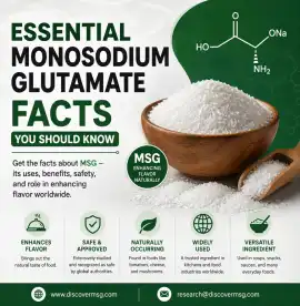 Essential Monosodium Glutamate Facts You Should Kn, New Delhi