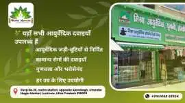 Trusted Ayurvedic Medical Store in Alambagh, Lucknow