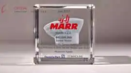 Luxury Custom Crystal Trophy for Business, Buffalo