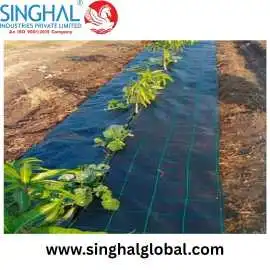 Innovative Weed Mat Solutions for Sustainable Gard, Ahmedabad