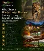Why Choose Wagharanya Resorts Among Luxury Resorts, Chandrapur