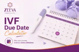 IVF Due Date Calculator for Accurate Baby Due Date, Noida