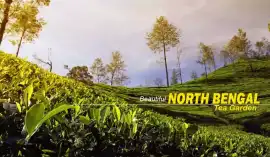 NatureWings Holidays North Bengal Package Tour