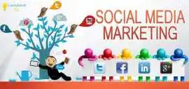 Best Social Media Agency in Patna – Candent SEO, Patna