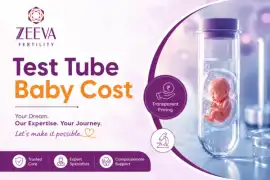 Test Tube Baby Cost and IVF Success, Noida