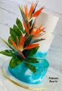 Best Florida bakery Kissimmee for gourmet cakes, $ 0