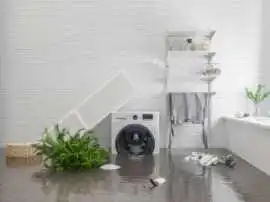 What Are the Common Causes of Water Damage in Home, Toronto