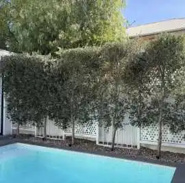 Get the Perfect Faux Olive Tree for Your Decor, $ 50